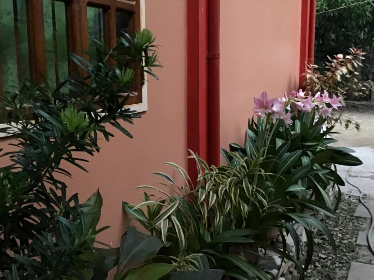 Ferranco Tourist Inn San Vicente  Zewnętrze zdjęcie